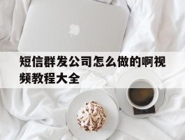 短信群发公司怎么做的啊视频教程大全