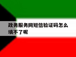 政务服务网短信验证码怎么填不了呢
