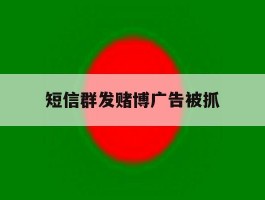 短信群发赌博广告被抓