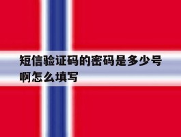 短信验证码的密码是多少号啊怎么填写
