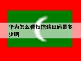 华为怎么看短信验证码是多少啊