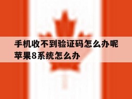 手机收不到验证码怎么办呢苹果8系统怎么办