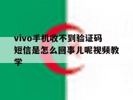 vivo手机收不到验证码短信是怎么回事儿呢视频教学