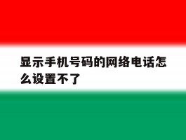 显示手机号码的网络电话怎么设置不了