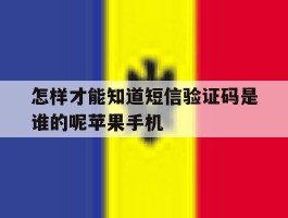 怎样才能知道短信验证码是谁的呢苹果手机