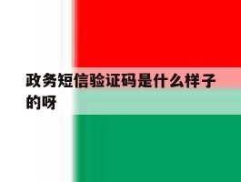 政务短信验证码是什么样子的呀