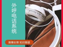 网络电话真实显号怎么查看号码
