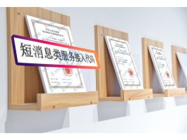 什么是集团短信服务号码呢