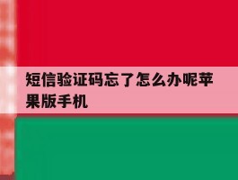 短信验证码忘了怎么办呢苹果版手机