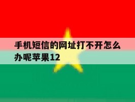 手机短信的网址打不开怎么办呢苹果12