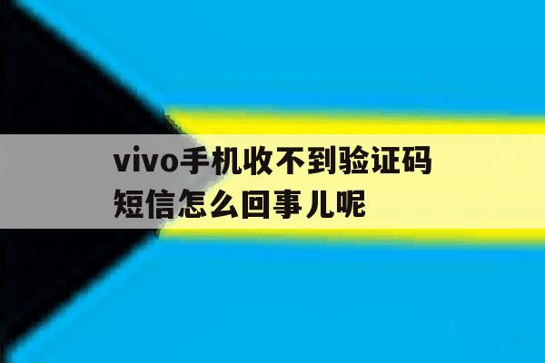 vivo手机收不到验证码短信怎么回事儿呢 vivo手机收不到验证码短信怎么回事儿呢
