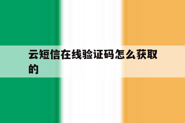 云短信在线验证码怎么获取的 云短信在线验证码怎么获取的