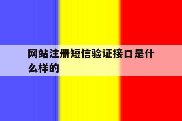 网站注册短信验证接口是什么样的