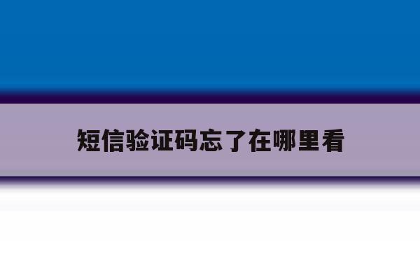 短信验证码忘了在哪里看 短信验证码忘了在哪里看