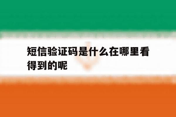 短信验证码是什么在哪里看得到的呢 短信验证码是什么在哪里看得到的呢