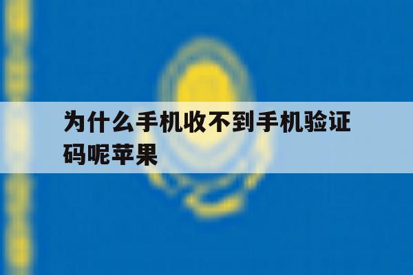 为什么手机收不到手机验证码呢苹果 为什么手机收不到手机验证码呢苹果